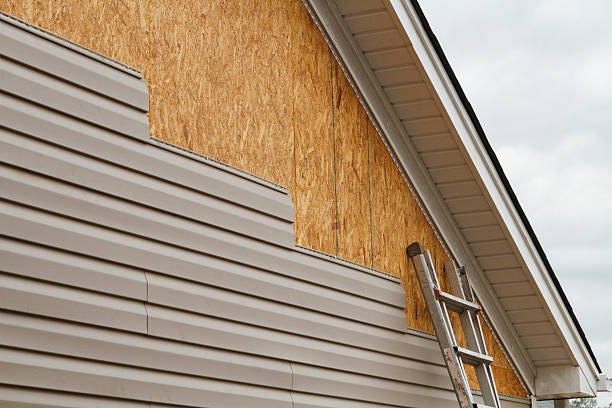 Professional Wood Siding technician working in Sebring, FL